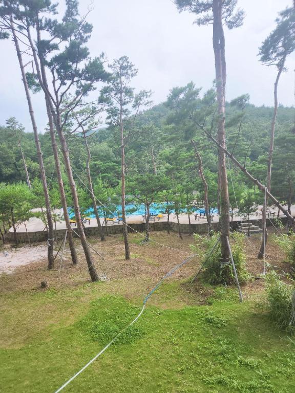 Sokcho Daemyung Heidi Pension Экстерьер фото